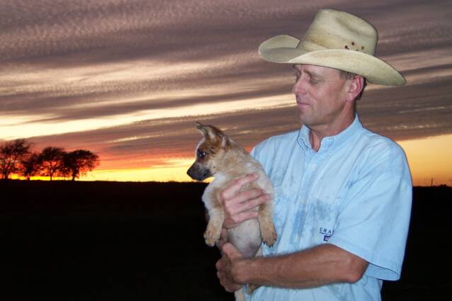 Texas Red Web owner - Scott Engelmann - 